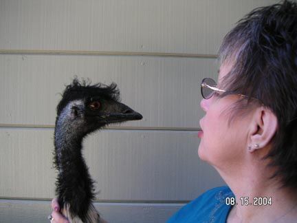 Lynda Johnston Vance in California