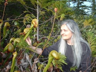 Jessica Ryann Hamilton (form. Cathy Edmonds)