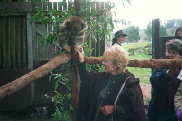 Linda Barton Paul and a fuzzy little bear